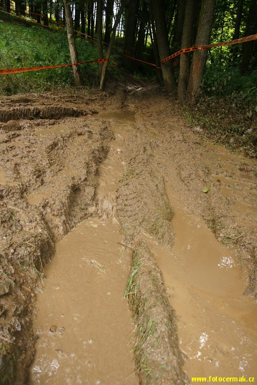 img00198.jpg