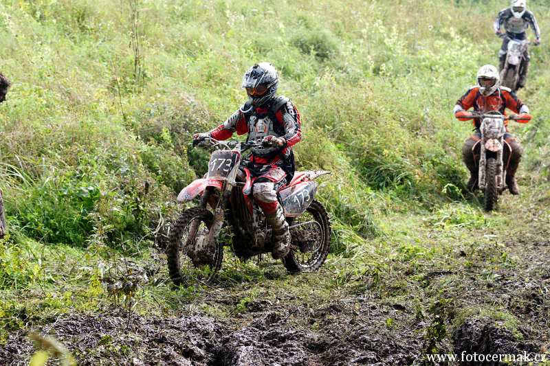 img00172.jpg