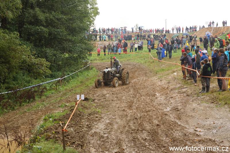 img00115.jpg