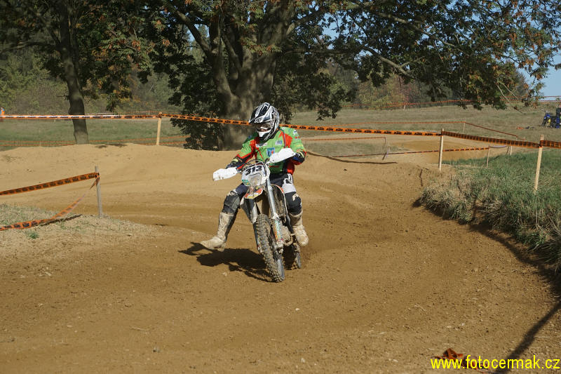 img00247.jpg