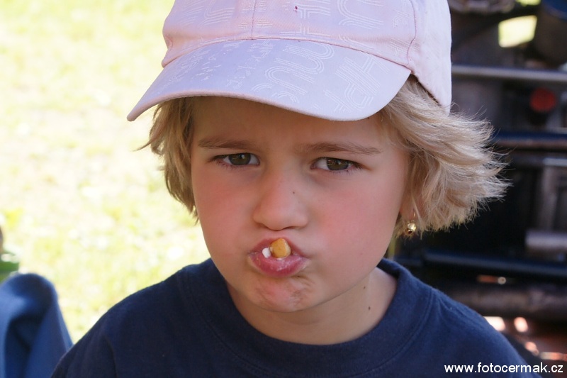 img00101.jpg