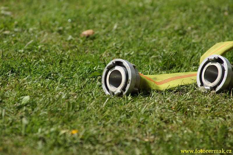img00209.jpg