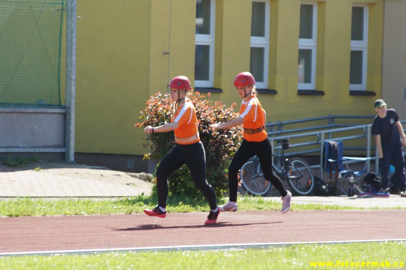 img00107.jpg