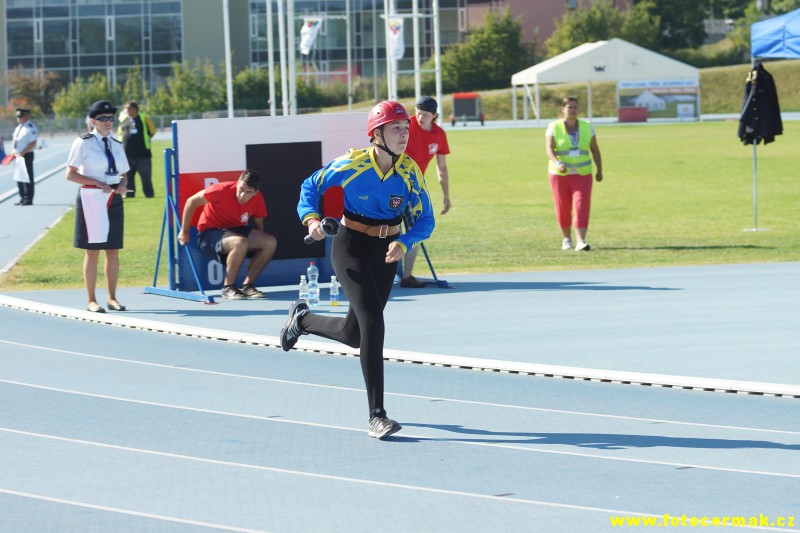 img00042.jpg