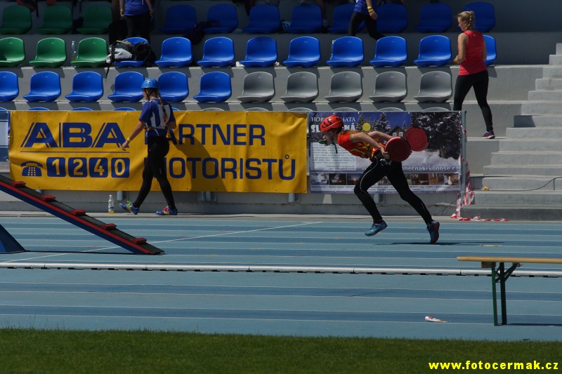 img00087.jpg