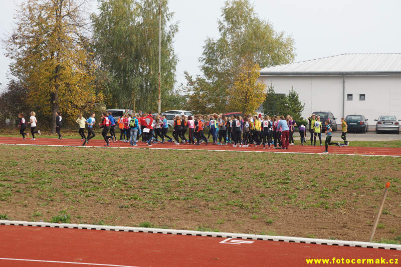 img00007.jpg