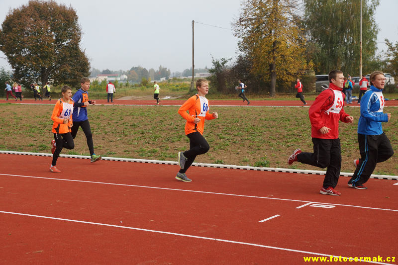 img00009.jpg