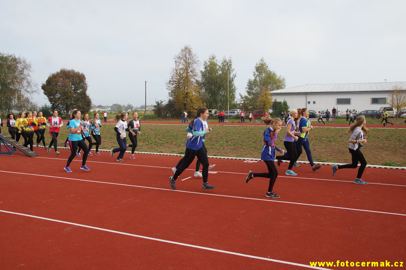 img00012.jpg