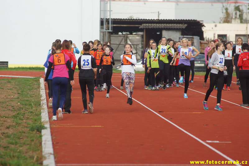 img00040.jpg
