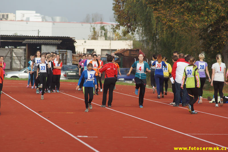 img00041.jpg