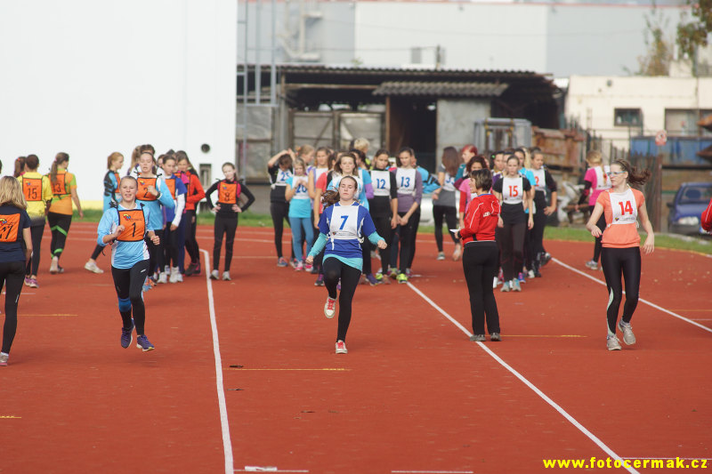 img00044.jpg