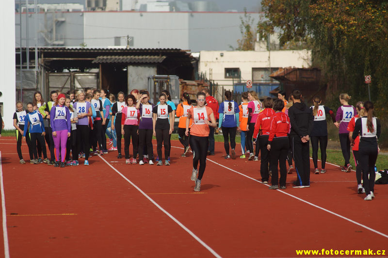 img00050.jpg