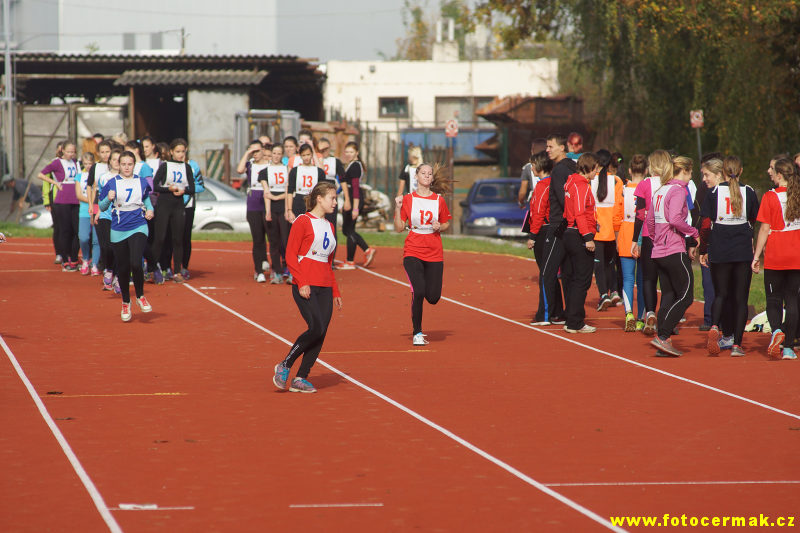img00052.jpg