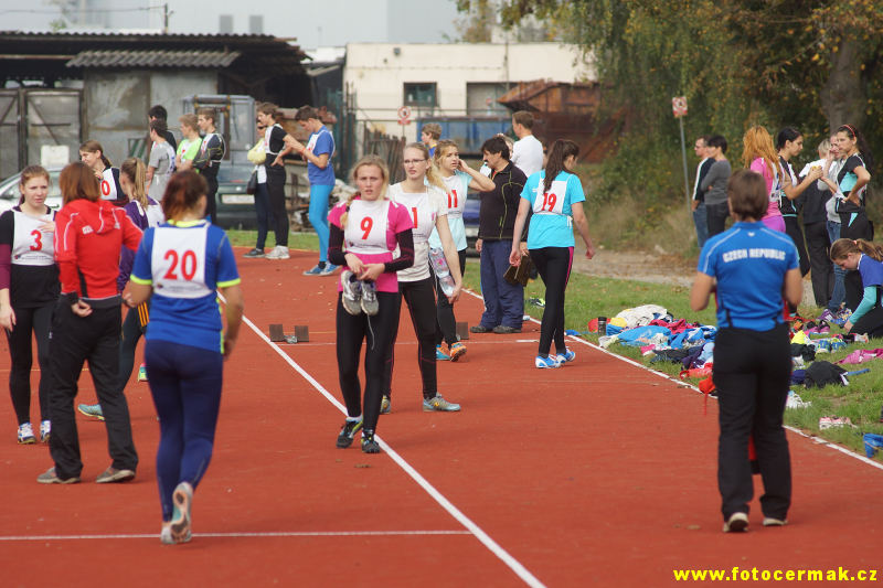 img00101.jpg