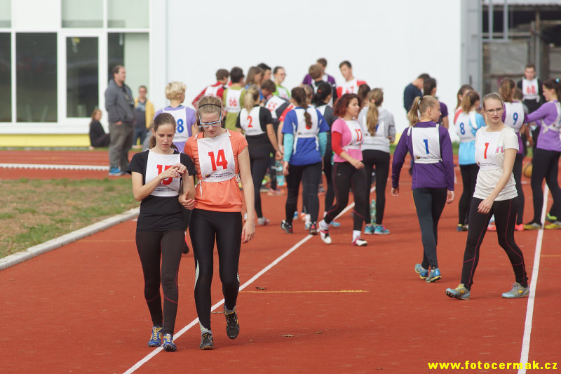 img00102.jpg
