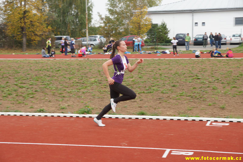 img00151.jpg
