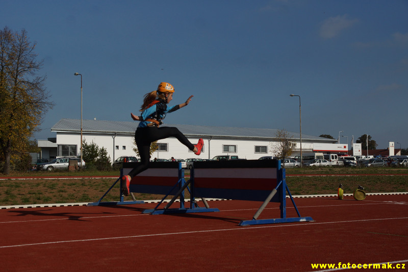 img00251.jpg