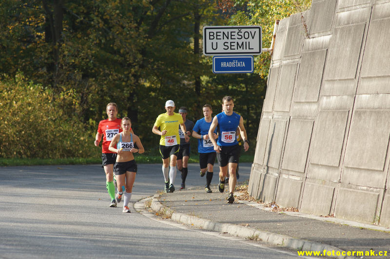 img00080.jpg