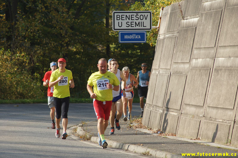 img00115.jpg