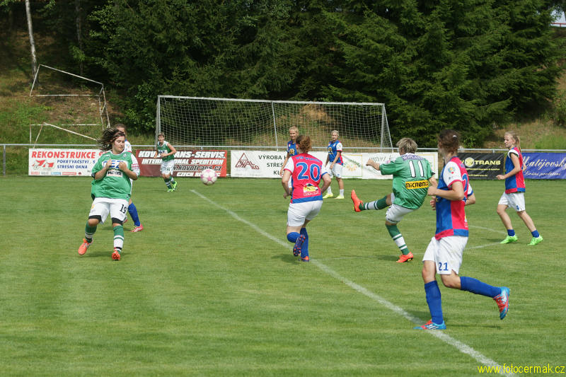 img00019.jpg