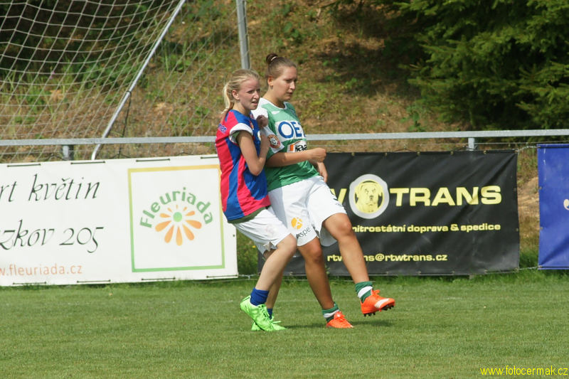 img00040.jpg